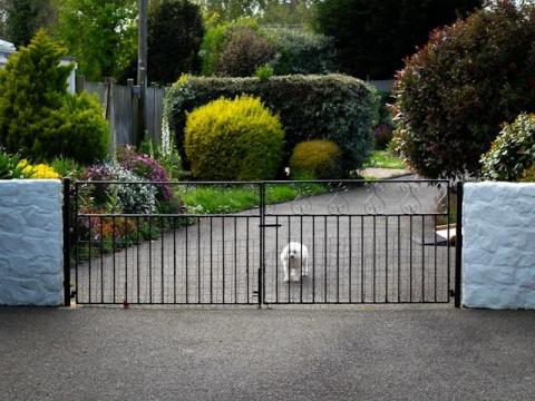 The Role of Automatic Gates in Efficient Commercial Operations