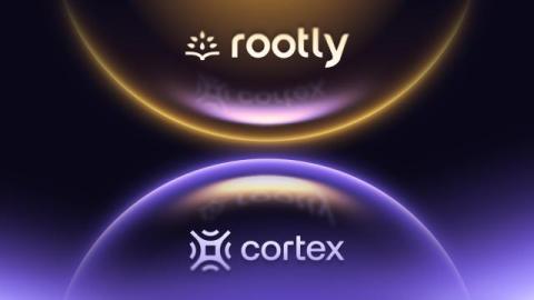 cortex