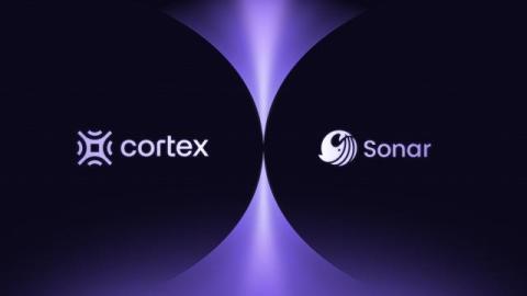 cortex