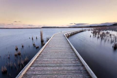 Why Professional Dock Builders Are a Game Changer