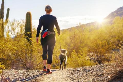 Arizona Walkability and Green Spaces - A Growing Trend for People and Pets