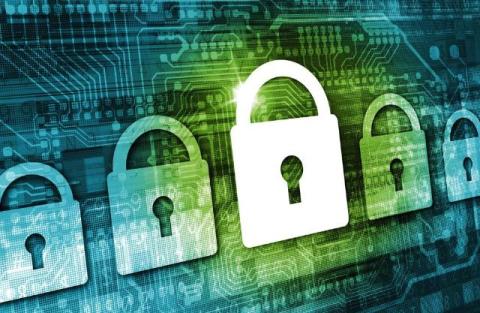 Enterprise Data Lineage for LoRA Policy Fleets