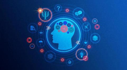 MyIQ Online IQ Testing: A Data-Driven Approach to Cognitive Measurement