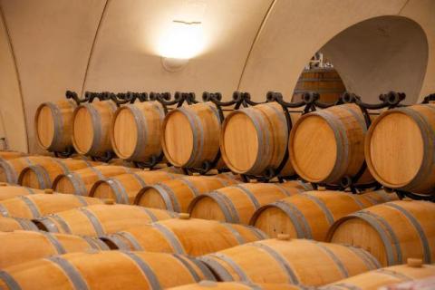 The Rise of Enotourism: Why Wine-Centric Getaways Are the New Luxury Travel