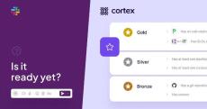 cortex